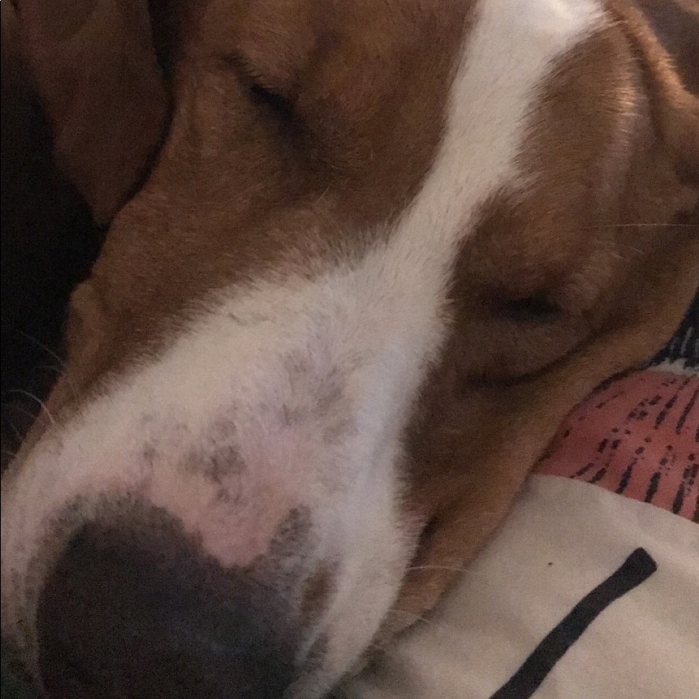 Meet your Posher, Kaitlin